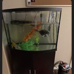 Tank And Filter