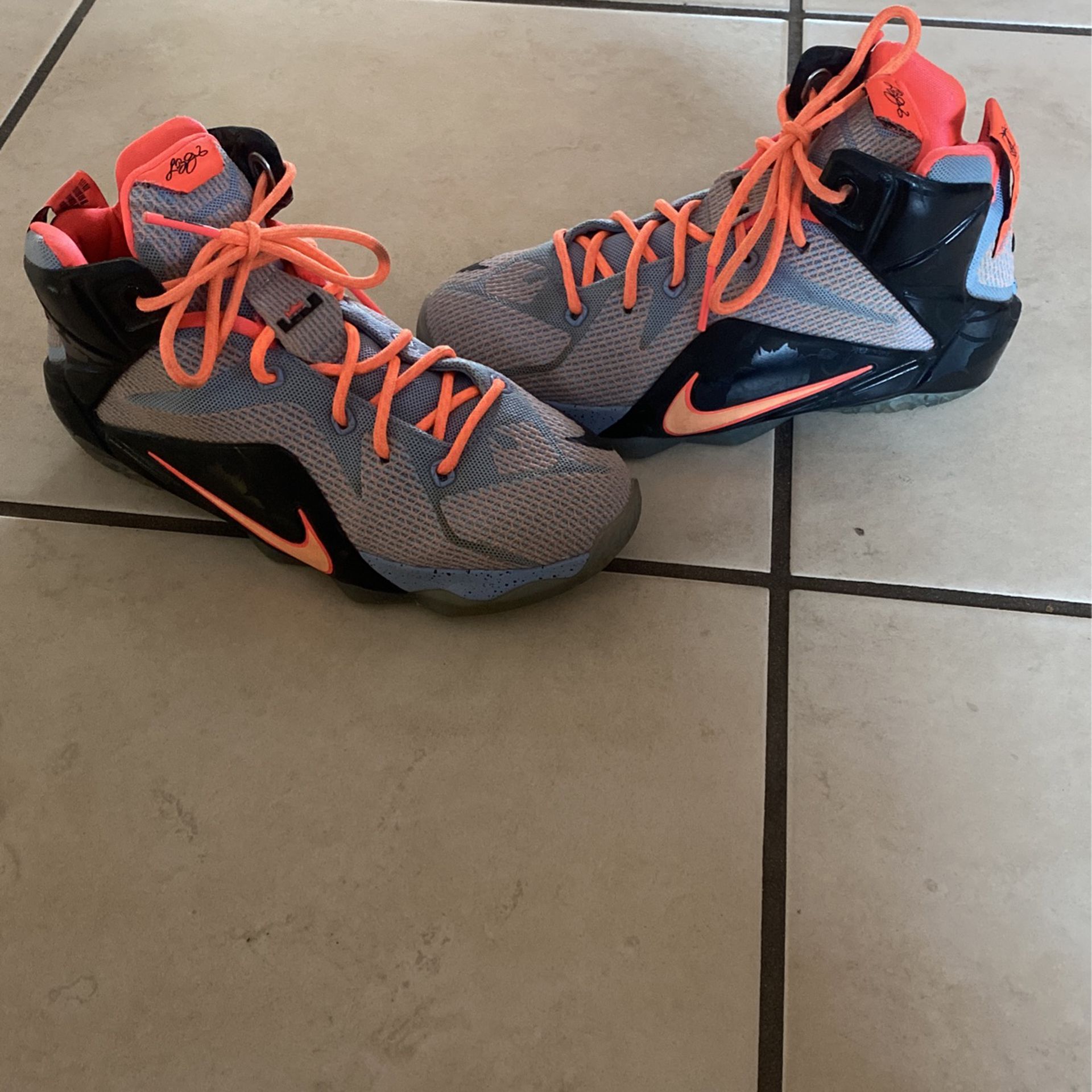 Nike Lebron 12 | Size 4