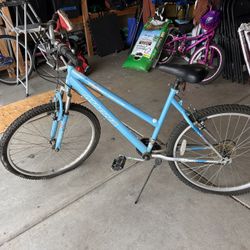 Adult Bike