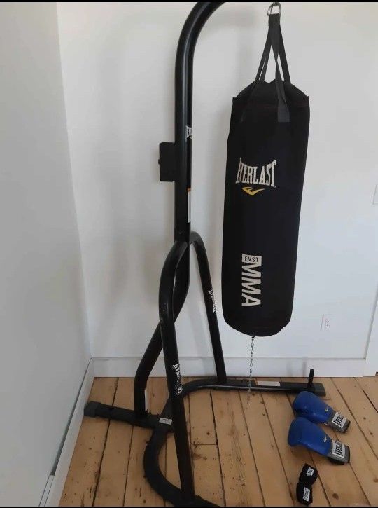 Punching bag set, with gloves and wraps.
