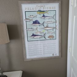 Framed Fish Poster