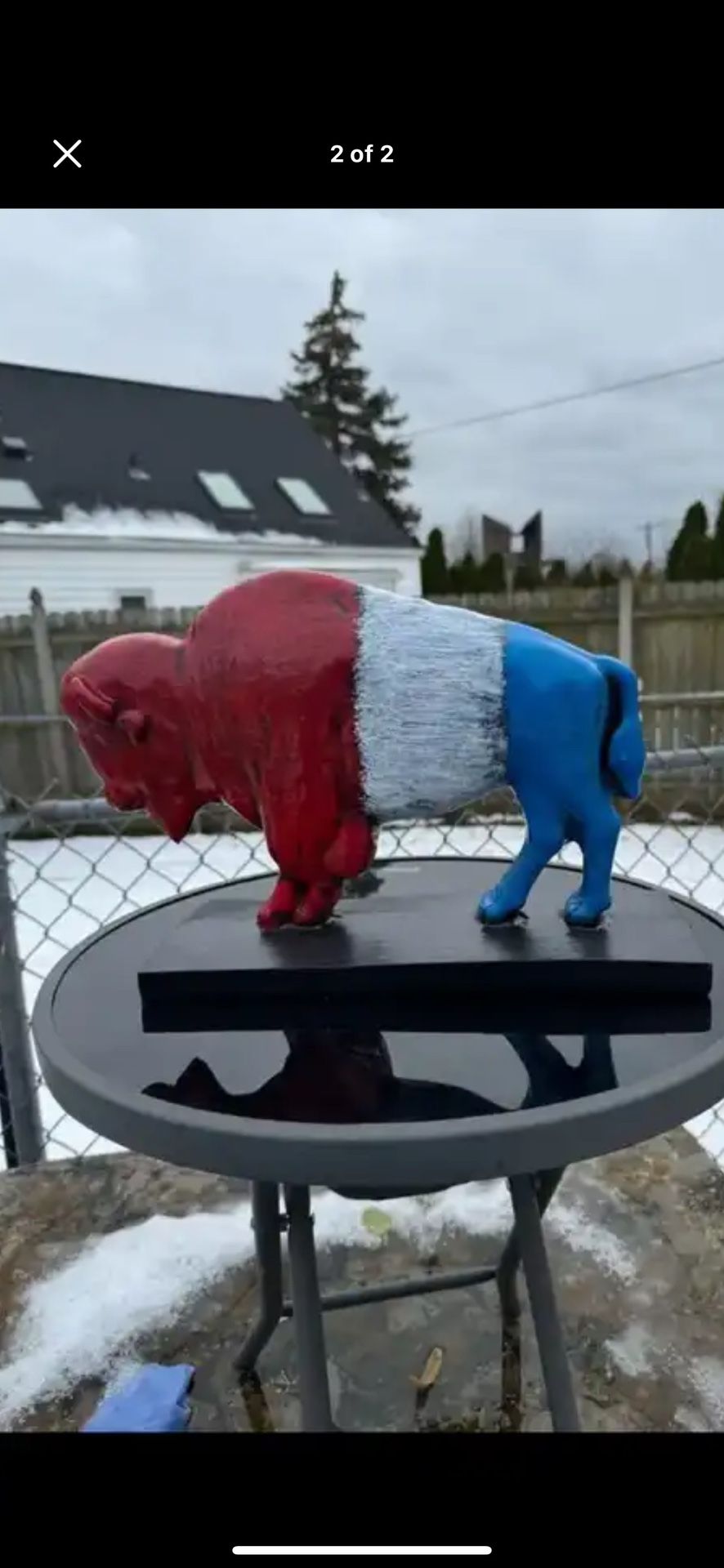 The Red White And Blue Buffalo