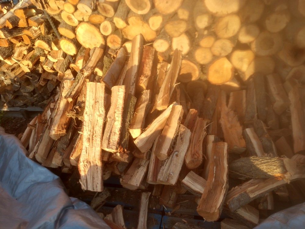 Dry Split Firewood!!!