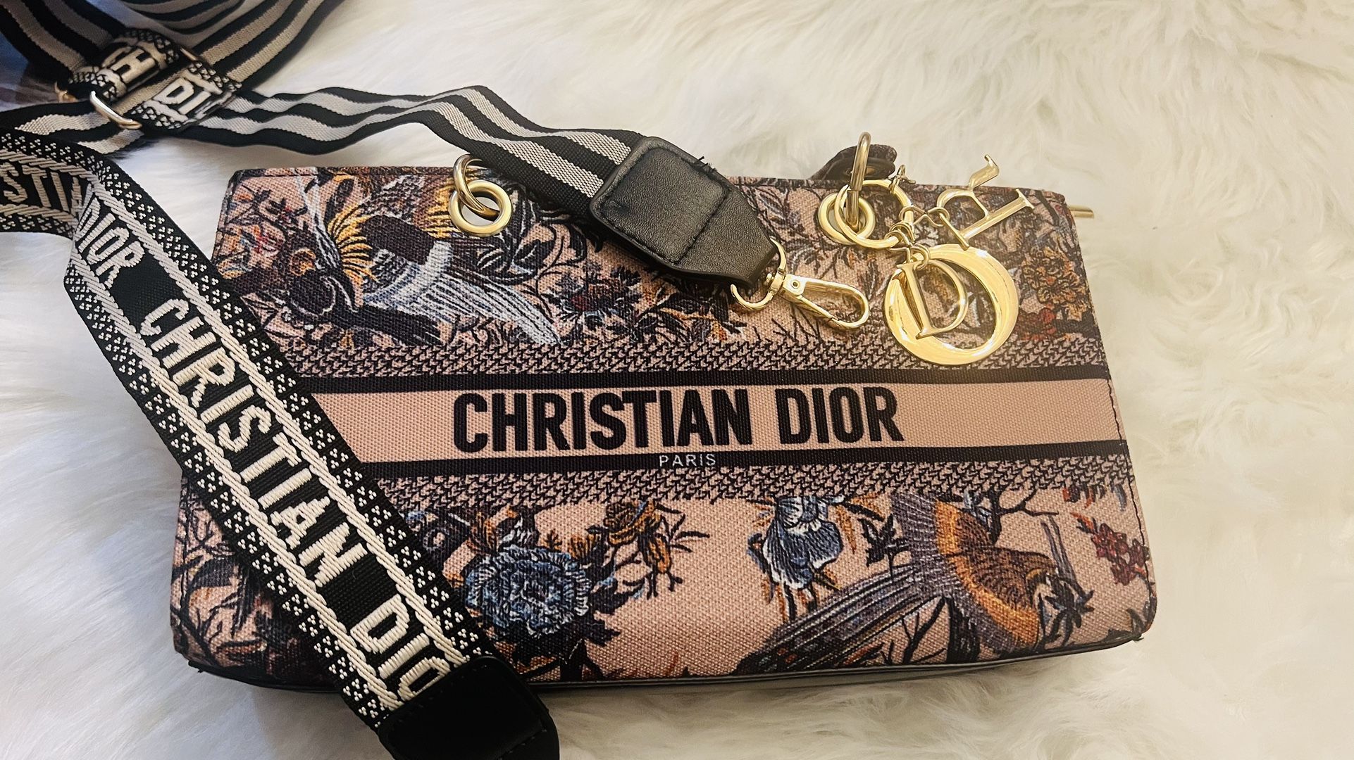 Dior Bag