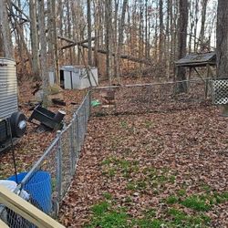 Free Firewood  CUT YOUR OWN 