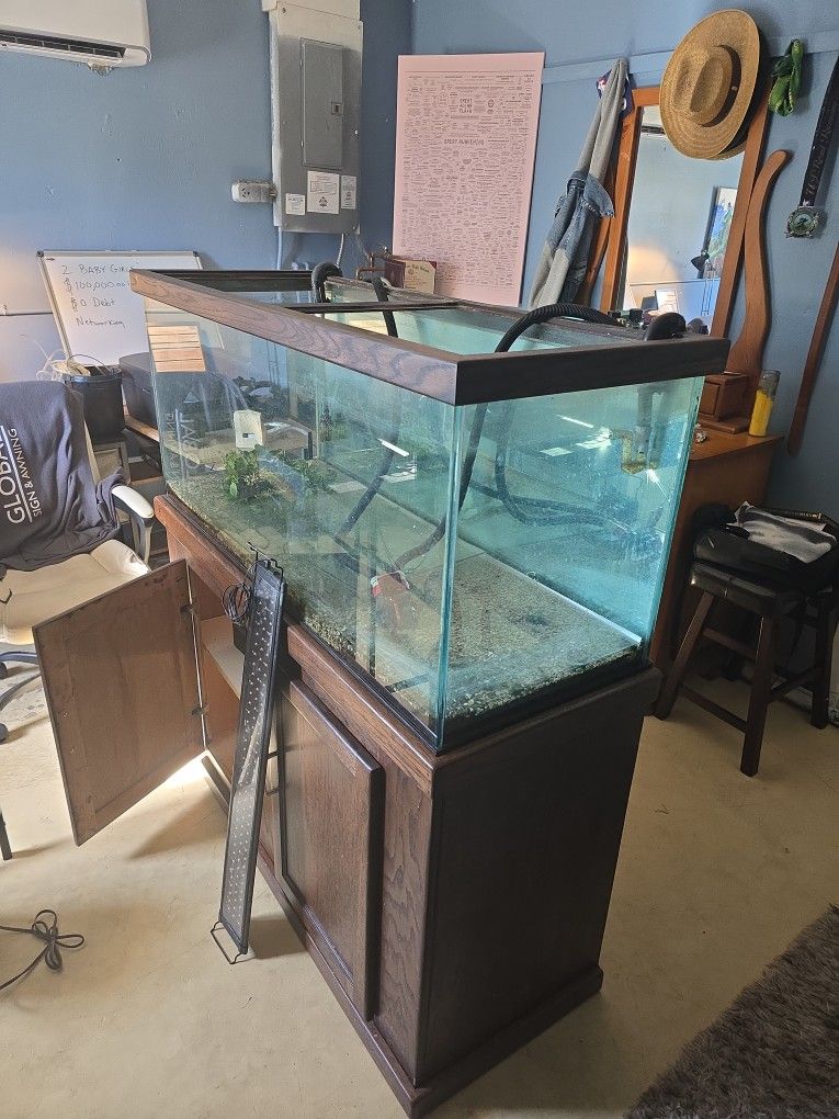 85 Gallon Custom Fish Tank