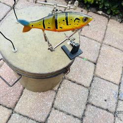 Custom Painted Peacock Bass Glide Bait