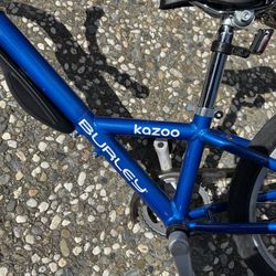 Burley Kazoo Ride-Along Trailer Cycle