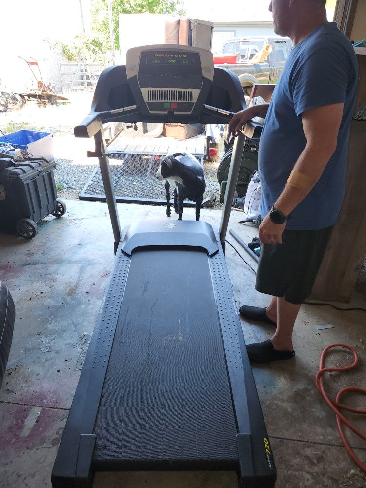 Golds Gym Treadmill