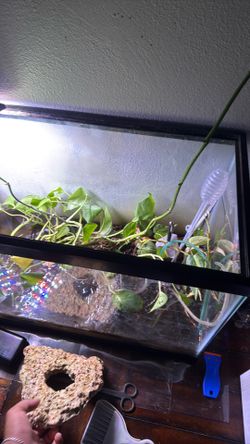20 gal tank