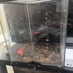 10 Gallon Exo Terra