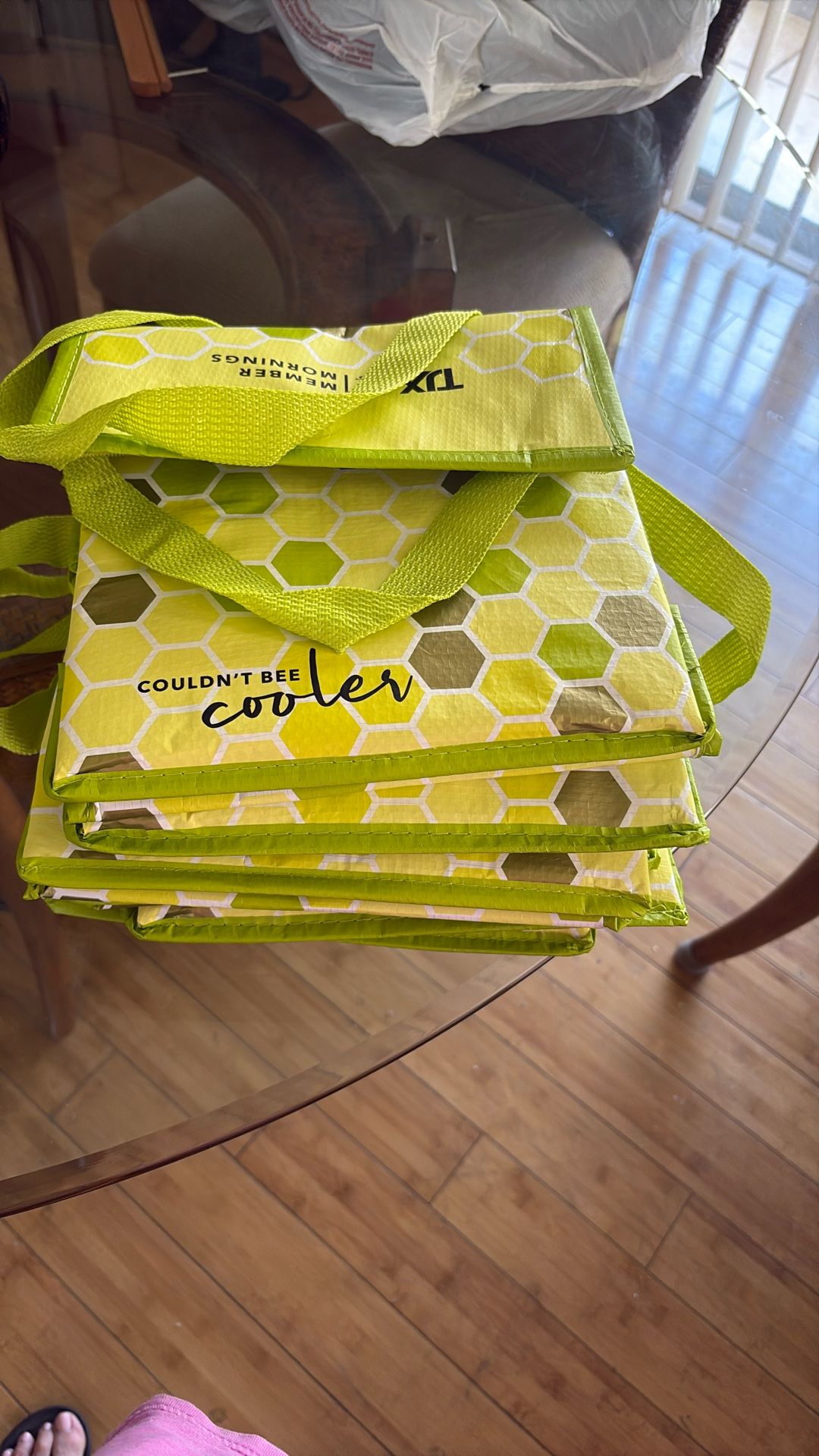 TJ Maxx Zip Around Cooler Bags (6)