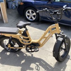 Electric Bike 