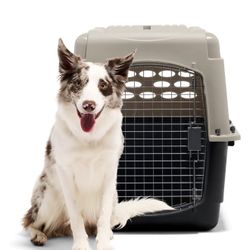 Vari Kennel 