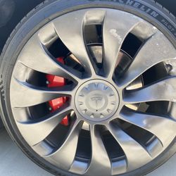 Model Y 21" Überturbine Wheel