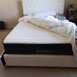 Full Bed ,  Frame and Headboard 