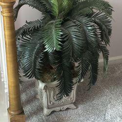 Decorative plant