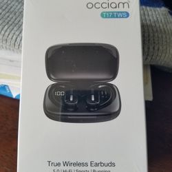 Wireless Earbuds
