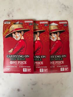 One piece 13