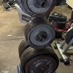 Barbell Free Weight Plates
