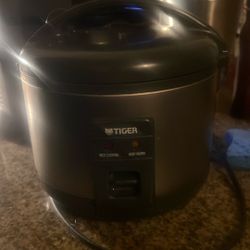 Tiger Rice Cooker Small Size 