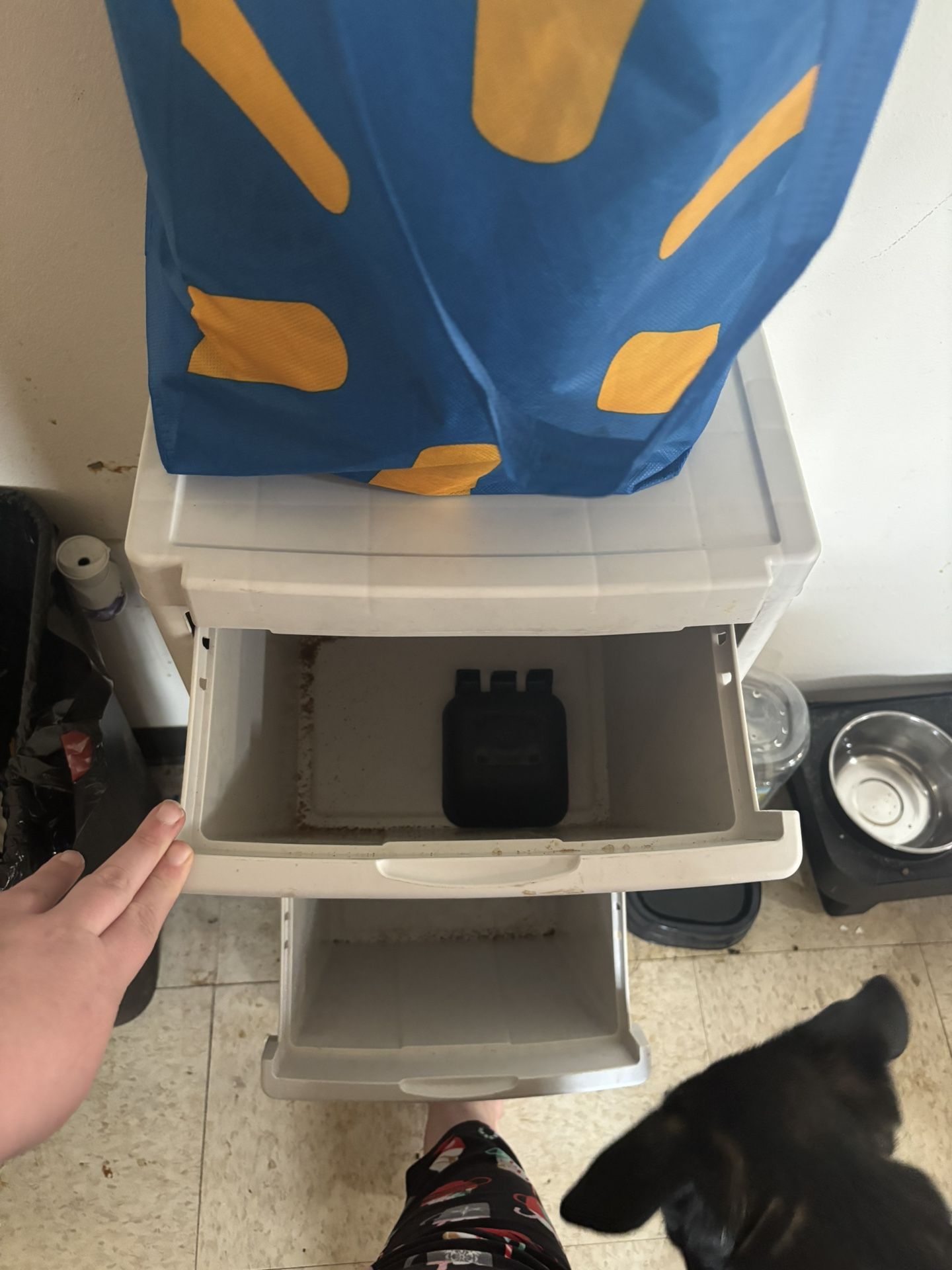 Dog Food Organizers