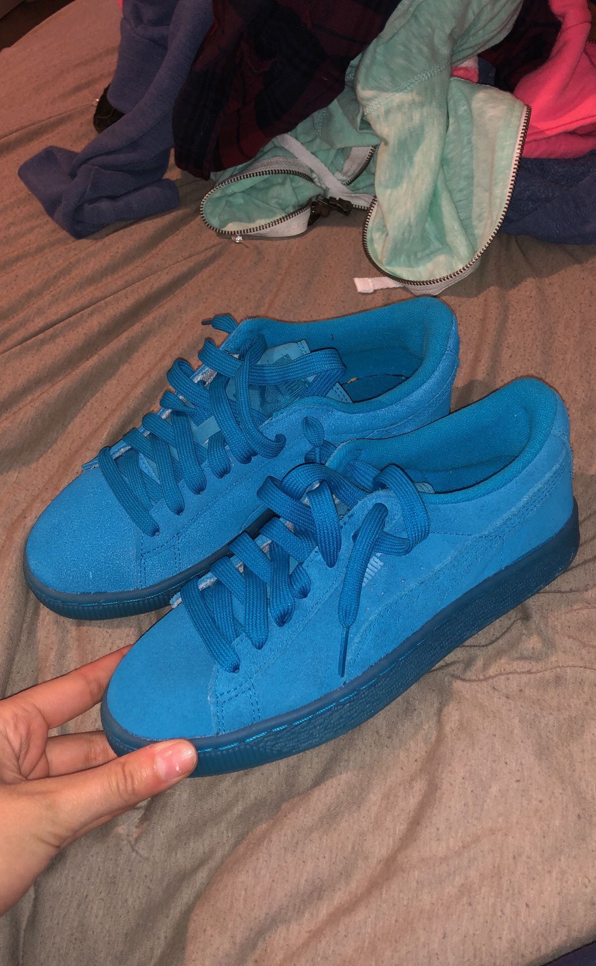 Blue pumas