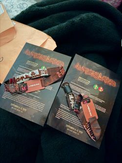Wasteland 2026 2 day wristband