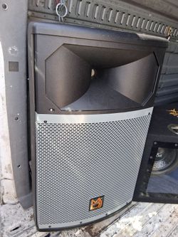 Karaoke speaker or Pro DJ speaker working
