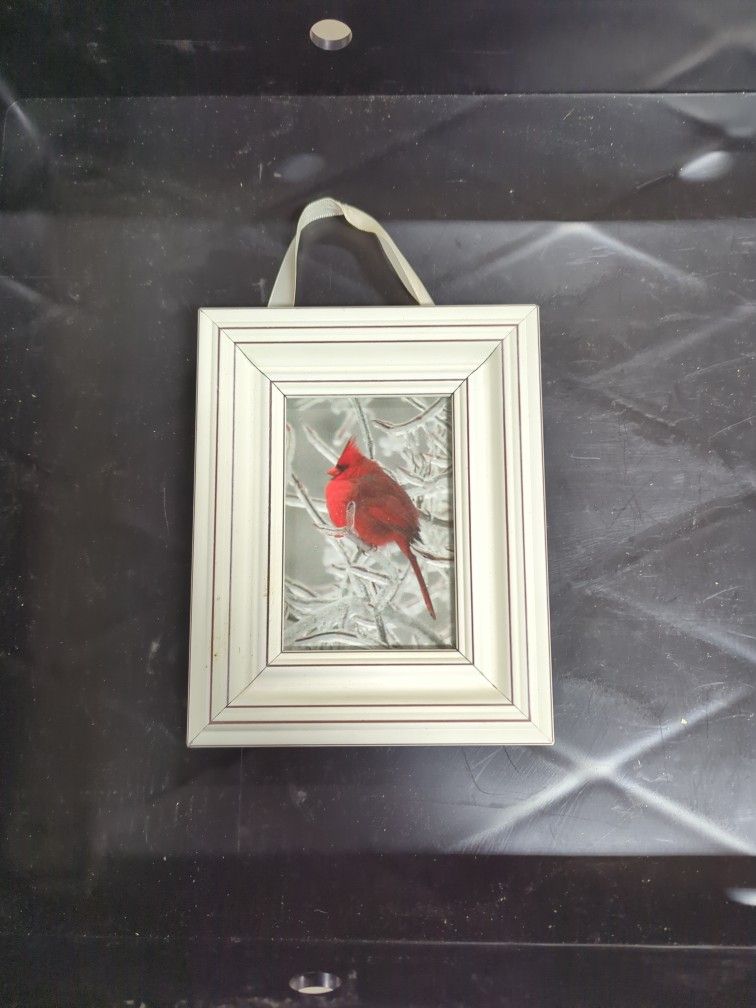 Cardinal Picture