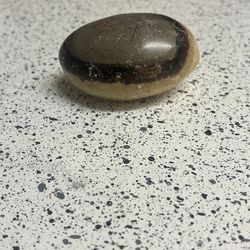 Septarian Nodule palm stone