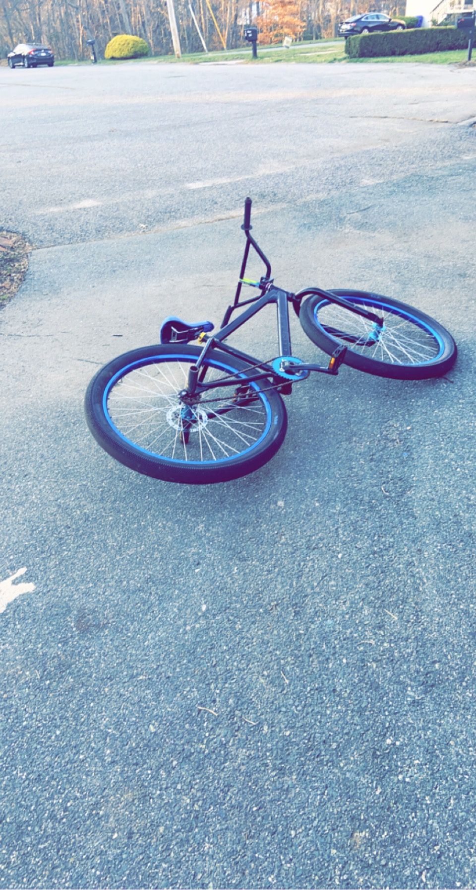 Dub Ripper Se Bike