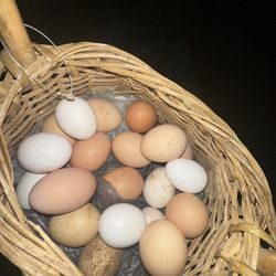 FRESH HOMEGROWN CHICKEN EGGS 1DOZEN