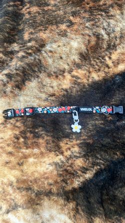 Floral Pet Collar with Daisy Charm