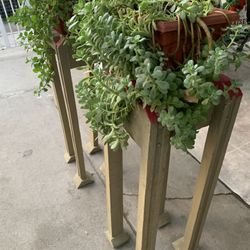 Plant Holders