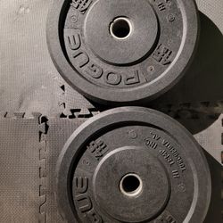 Rogue 45lbs bumper Weights
