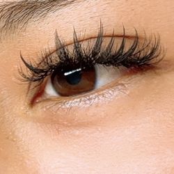 Lash Extensions 