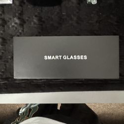 SMART AI GLASSES