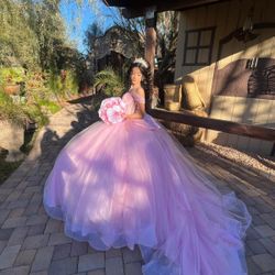 Quinceanera Dress (Pink)