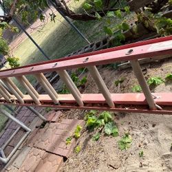 28-foot ladder for sale.
 $100!