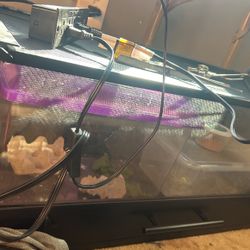 20 Gallon Reptile Cage Perfect Condition Spent 200 On It Will Negotiate A Price With You 