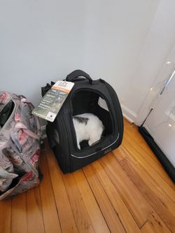 Pet GEAR Carrier W. Wheels
