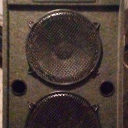 Gemini Concert Speaker