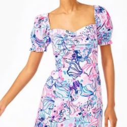 Women’s Size 12 Lilly Pulitzer Dress