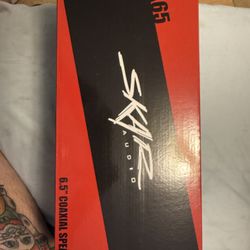Skar tx65 6.5in Door Speakers 