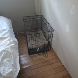 Dog Cage