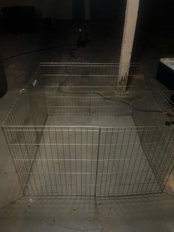 Dog Crete