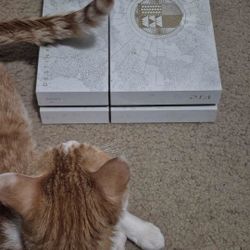 Sony Playstation 4 Limited Edition Destiny: The Taken King