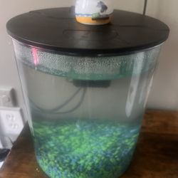 Fish Tank
