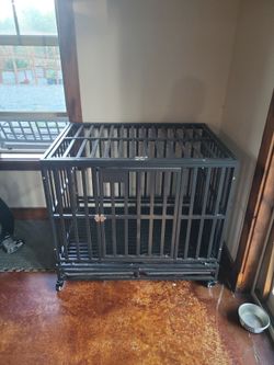 Dog Kennel Large Indoor